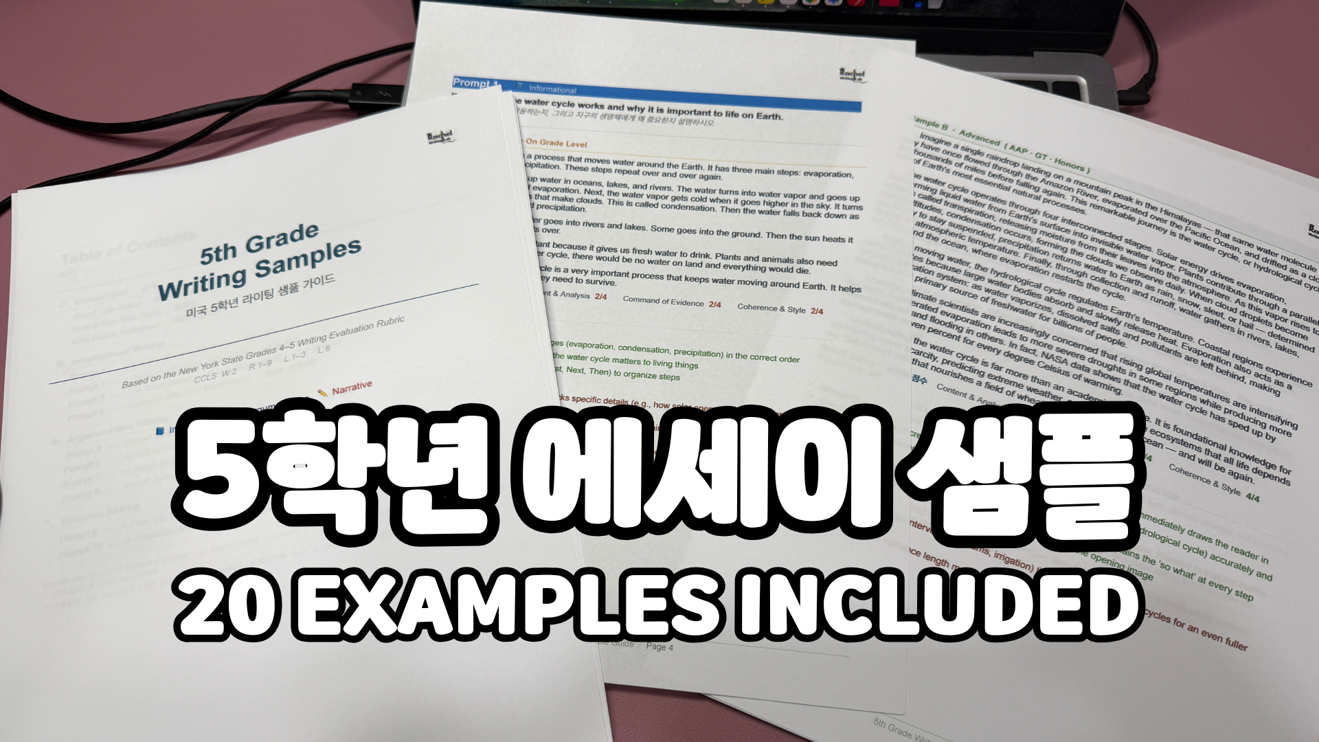 Grade 5 Writing Samples (20 Essays Included)